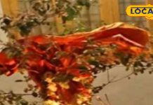 शुद्ध देसी घी न हो..तो घर की तुलसी के पास इस तेल का जलाएं दीया, मां लक्ष्मी होंगी प्रसन्न, दौड़ा आएगा धन!