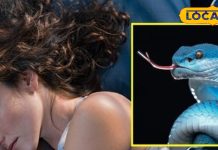 सपने में बार-बार देख रहे हैं सांप, इस दोष का हो सकता है खतरा