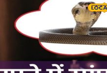 सफेद या काला! सपने में पीछा कर रहा है ये सांप, तो गले पड़ने वाली है मुसीबत