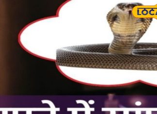 सफेद या काला! सपने में पीछा कर रहा है ये सांप, तो गले पड़ने वाली है मुसीबत