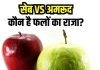 अमरूद या सेब! कौन है सेहत के लिए सबसे ज्यादा फायदेमंद? फायदे जान दंग रह जाएंगे आप
