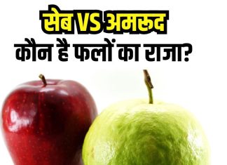 अमरूद या सेब! कौन है सेहत के लिए सबसे ज्यादा फायदेमंद? फायदे जान दंग रह जाएंगे आप