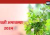 सोमवती अमावस्या पर क्यों और कितनी बार की जाती तुलसी की परिक्रमा, हैरान कर देगी इसके पीछे की खास वजह, आप भी जानें