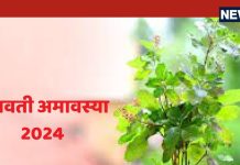 सोमवती अमावस्या पर क्यों और कितनी बार की जाती तुलसी की परिक्रमा, हैरान कर देगी इसके पीछे की खास वजह, आप भी जानें