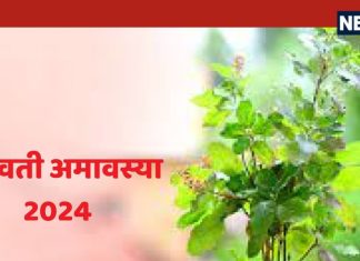 सोमवती अमावस्या पर क्यों और कितनी बार की जाती तुलसी की परिक्रमा, हैरान कर देगी इसके पीछे की खास वजह, आप भी जानें