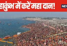हर जगह से हो चुके हैं परेशान, कष्टों से पाना चाहते हैं मुक्ति? महाकुंभ में जरूर करें इन 4 चीजों का दान