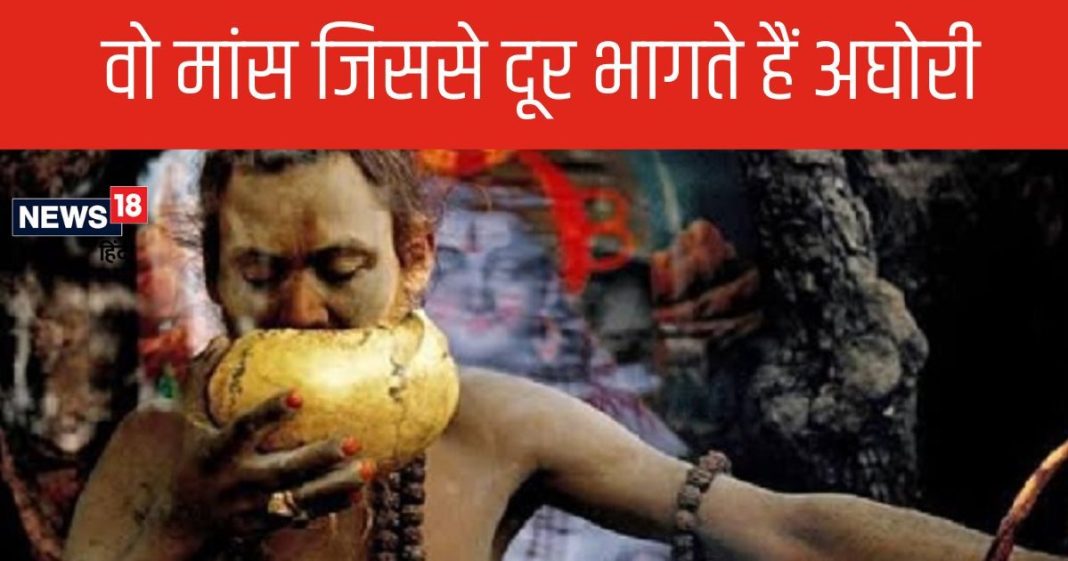 नागा बाबा होते हैं शुद्ध शाकाहारी तो अघोरी हर तरह