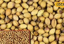 इन छोटे-छोटे दानों में छिपा है सेहत का राज, खाने से कई बीमारियों का होगा नाश