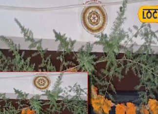 घर के दरवाजे पर टांग दें ये तना, तो आस पास भी नहीं भटकेंगी नकारात्मक शक्तियां!