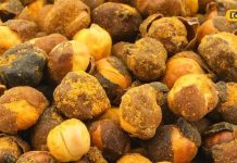 भुने या अंकुरित, कौन से चने हैं सेहत के लिए बेस्ट, यहां जानें सब कुछ