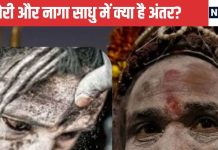 Aghori And Naga Sadhu: कोई खाता है कच्चा मांस, तो कोई भीक्षा मांगकर करता है भोजन, जानें अघोरी और नागा साधु में क्या है अंतर?