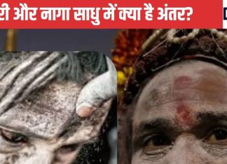 Aghori And Naga Sadhu: कोई खाता है कच्चा मांस, तो कोई भीक्षा मांगकर करता है भोजन, जानें अघोरी और नागा साधु में क्या है अंतर?