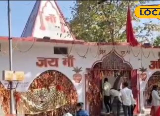 Amila Devi Temple: घने जंगल में बना मंदिर, ऊंची पहाड़ी पर विराजित हैं देवी, पूजा करते ही पूरी होगी मन मांगी मुराद!