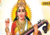 Basant Panchami: बच्चे का पढ़ने में नहीं लगा रहा मन, इस उपाय से तेज होगी बुद्धि, बसंत पंचमी पर आजमा कर देखें