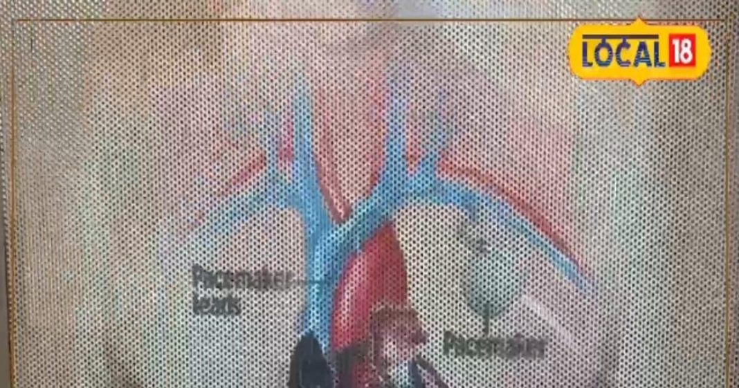 क्या ठंड के मौसम में खाना चाहिए हरी सब्जी, शरीर के लिए फायदेमंद या नुकसान?