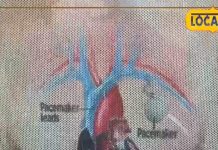 क्या ठंड के मौसम में खाना चाहिए हरी सब्जी, शरीर के लिए फायदेमंद या नुकसान?