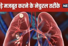 फेफड़ों को मजबूत करने के लिए खाएं ये 5 फूड्स, इंफेक्शन का खतरा होगा कम ! इम्यूनिटी भी कर देंगे बूस्ट