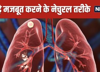 फेफड़ों को मजबूत करने के लिए खाएं ये 5 फूड्स, इंफेक्शन का खतरा होगा कम ! इम्यूनिटी भी कर देंगे बूस्ट