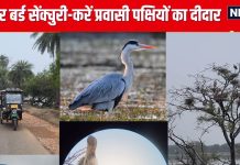 सर्दियों के मौसम में जरूर घूम आएं भरतपुर बर्ड सेंक्चुरी, नजर आएंगे दुनियाभर के पक्षी, यादगार होंगी बच्चों की छुट्टियां