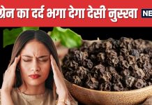 माइग्रेन का दर्द मिटा सकते हैं ये छोटे-छोटे दाने ! इनमें कूट-कूटकर भरे पोषक तत्व, सेहत के लिए रामबाण
