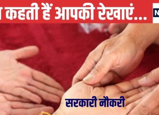 Career Palmistry: क्या आपके हाथों में है सरकारी नौकरी के योग, रेखाओं से जानें किस क्षेत्र में कमाएंगे पैसा