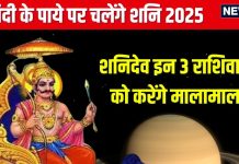Shani Chandi Ka Paya 2025: मीन में होगा शनि गोचर, चांदी के पाये पर चलेंगे शनिदेव, इन 3 राशिवालों को रंक से बना देंगे राजा!