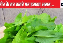 यह सिर्फ साग नहीं, इसमें समाया है सेहत का पूरा संसार, खुलकर होगा पेट साफ, वजन पर भी लगाएगा लगाम, कैंसर के लिए भी काल