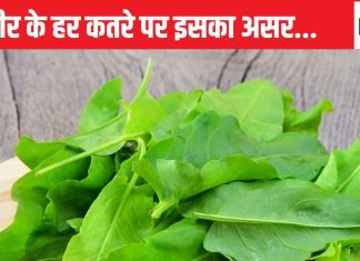 यह सिर्फ साग नहीं, इसमें समाया है सेहत का पूरा संसार, खुलकर होगा पेट साफ, वजन पर भी लगाएगा लगाम, कैंसर के लिए भी काल
