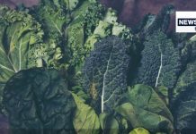 рдХреНрд░реБрд╕реАрдлреЗрд░рд╕ рд╕рдмреНрдЬрд┐рдпреЛрдВ рдХреЗ рдлрд╛рдпрджреЗ: рдХреИрдВрд╕рд░ рд╕реЗ рдмрдЪрд╛рд╡ рдФрд░ рд╕реНрд╡рд╛рд╕реНрдереНрдп рд▓рд╛рдн