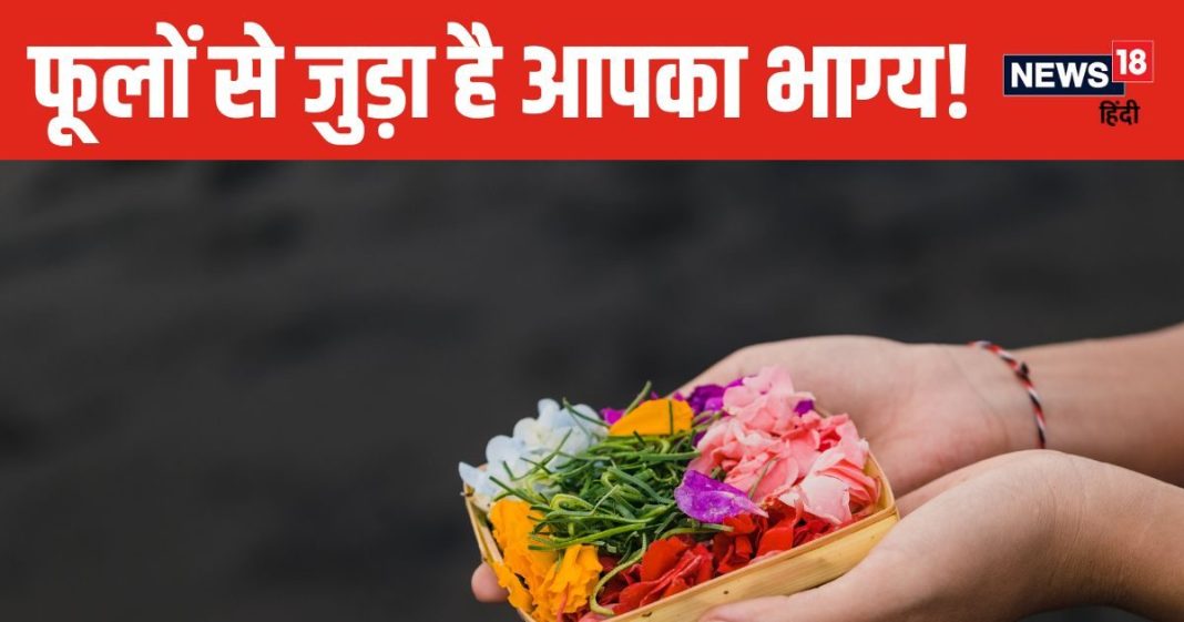 मन की हर मुराद होगी पूरी! मंगलवार को हनुमान जी को चढ़ाएं गेंदा, जानें किस दिन, किस भगवान को अर्पित करें कौनसा फूल?