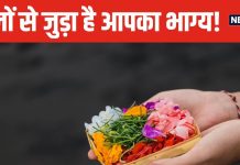 मन की हर मुराद होगी पूरी! मंगलवार को हनुमान जी को चढ़ाएं गेंदा, जानें किस दिन, किस भगवान को अर्पित करें कौनसा फूल?