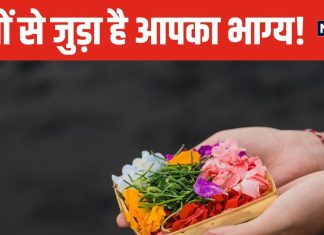 मन की हर मुराद होगी पूरी! मंगलवार को हनुमान जी को चढ़ाएं गेंदा, जानें किस दिन, किस भगवान को अर्पित करें कौनसा फूल?