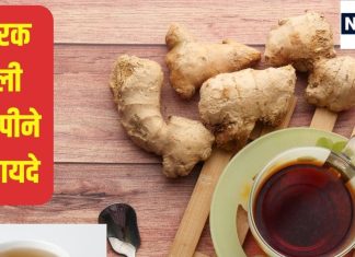चाय में डालें औषधीय गुणों से भरपूर ये हर्ब, सीने में जमे बलगम की होगी छुट्टी, कई मर्ज में दवा की तरह करे असर