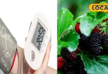 рдЗрд╕ рджреЗрд╕реА рдиреБрд╕реНрдЦреЗ рд╕реЗ рдмреНрд▓рдб рдкреНрд░реЗрд╢рд░ рдХреЛ рдЬрдбрд╝ рд╕реЗ рдХрд░реЗрдВ рдЦрддреНрдо, рд╢рд░реАрд░ рдореЗрдВ рд░рд╛рдордмрд╛рдг рдХреА рддрд░рд╣ рдХрд░реЗрдЧрд╛ рдХрд╛рдо, рдЖрдЬ рд╣реА рдЕрдкрдирд╛ рд▓реЗрдВ рдпреЗ рдХрд╛рд░рдЧрд░ рдЙрдкрд╛рдп