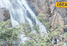 नए साल में लोध फॉल बना पिकनिक का हॉटस्पॉट, झारखंड के इस लोकेशन ने खींचा पर्यटकों का ध्यान