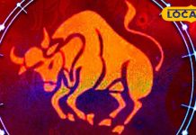 Vrishabh Rashifal: वृषभ राशि वालों का जीवनसाथी के साथ बढ़ेगा प्रेम, नौकरी में बॉस का मिलेगा सहयोग