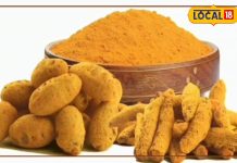 किचन का मामूली सा ये मसाला सेहत के लिए है संजीवनी, मोटापा से दिलाएगा राहत
