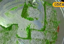 नये साल पर कोई नई स्वीट डिश बनानी है तो ट्राय करें संतरे की बर्फी, मिनटों में होती है तैयार और स्वाद लाजवाब