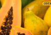 Papaya in Winter Season: ठंड में पपीता खाना चाहिए या नहीं? ज्यादातर लोग कर रहे गलती, डॉक्टर ने बताया सीक्रेट