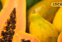 Papaya in Winter Season: ठंड में पपीता खाना चाहिए या नहीं? ज्यादातर लोग कर रहे गलती, डॉक्टर ने बताया सीक्रेट