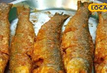 सर्दियों में खाएं यह मछली, हार्ट से लेकर ब्रेन तक रहेगा मजबूत, जानें रेसिपी