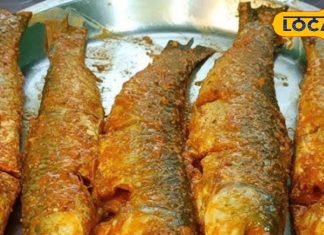 सर्दियों में खाएं यह मछली, हार्ट से लेकर ब्रेन तक रहेगा मजबूत, जानें रेसिपी