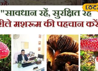 क्या आप जानते हैं मशरूम भी होता है जहरीला? विशेषज्ञ से जानें जहरीले मशरूम की कैसे करें पहचान