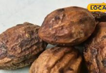 शरीर के लिए ‘अमृत’ है यह चीज, लिवर-किडनी को करता है मजबूत, कब्ज-गैस को कर देता है छूमंतर