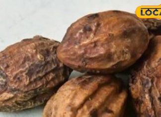 शरीर के लिए ‘अमृत’ है यह चीज, लिवर-किडनी को करता है मजबूत, कब्ज-गैस को कर देता है छूमंतर