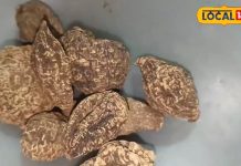 ‘चमत्कारी’ है ये औषधी, सर्दी, खांसी और पेट की समस्याओं के लिए है रामबाण, शुगर की हमेशा के लिए हो जाएगी छुट्टी