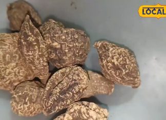 ‘चमत्कारी’ है ये औषधी, सर्दी, खांसी और पेट की समस्याओं के लिए है रामबाण, शुगर की हमेशा के लिए हो जाएगी छुट्टी