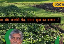 सिर्फ 3 बार इस्तेमाल और संतान सुख का सपना अब होगा पूरा! रामलोटन के औषधीय ज्ञान