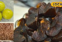 घर पर जरूर बनाएं आंवले से ये टेस्टी चीजें, खाने में आ जाएगा मजा, जानें रेसिपी