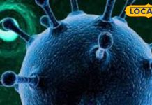 HMPV Virus Alert: भारत में मिले मामले के बाद पलामू जिले में जागरूकता अभियान शुरू